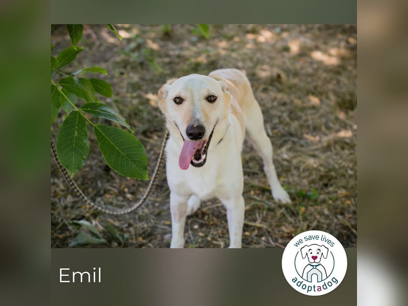Emil: freundlich, verspielt, anhänglich