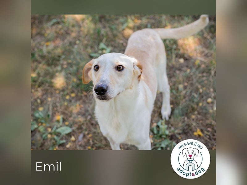 Emil: freundlich, verspielt, anhänglich