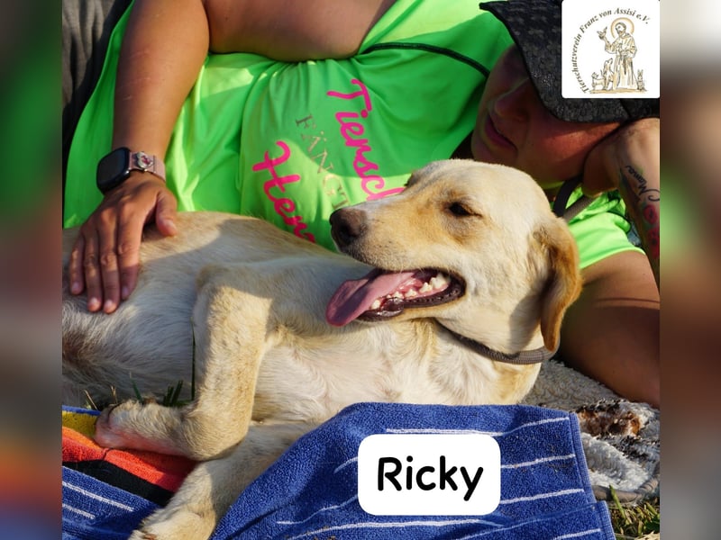 Ricky – Das größte Abenteuer beginnt mit einem Freund!