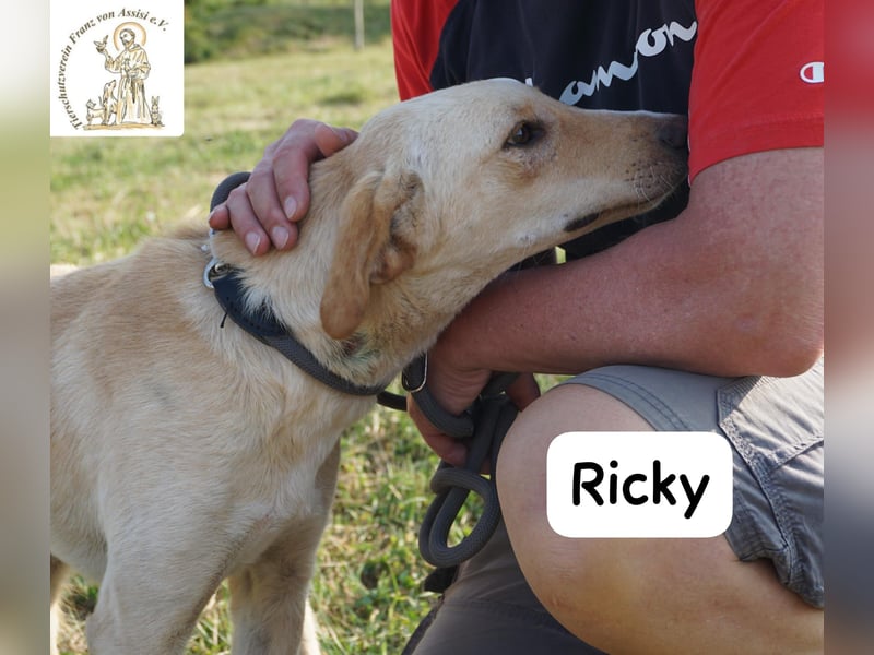 Ricky – Das größte Abenteuer beginnt mit einem Freund!