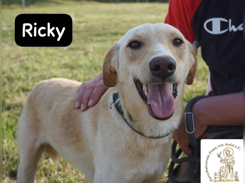 Ricky – Das größte Abenteuer beginnt mit einem Freund!