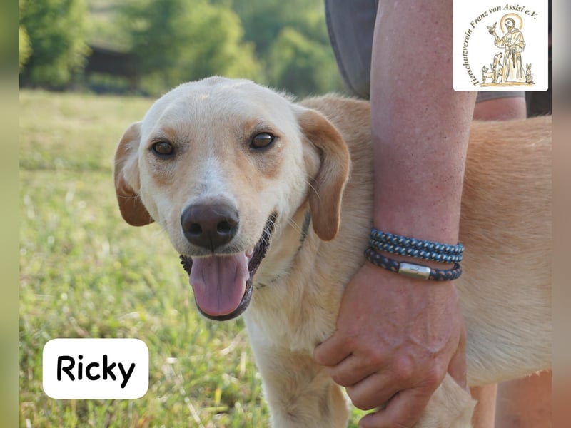 Ricky – Das größte Abenteuer beginnt mit einem Freund!
