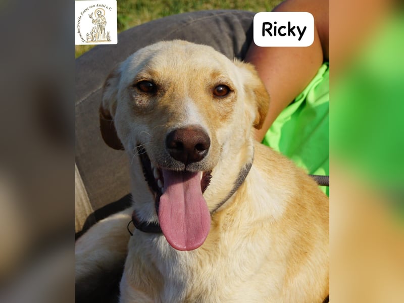 Ricky – Das größte Abenteuer beginnt mit einem Freund!