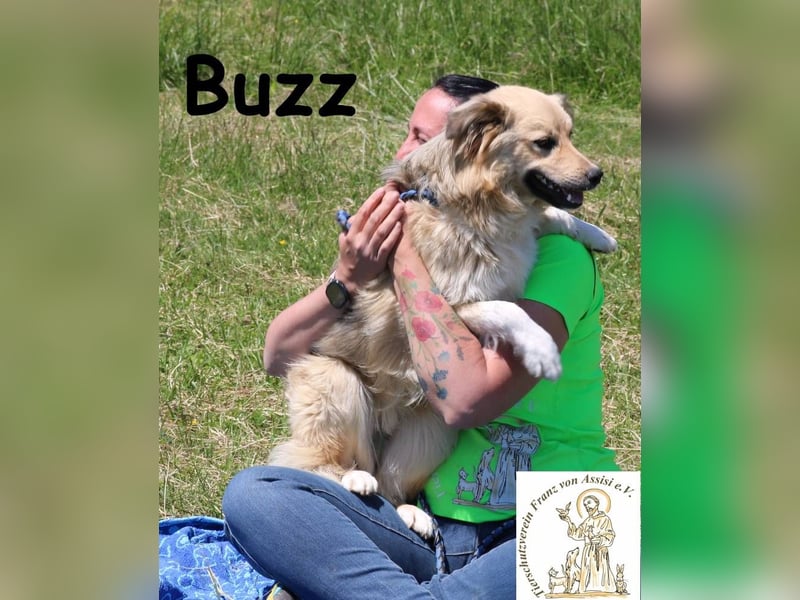 Buzz - wen darf ich lieben, wo darf ich aktiv sein?