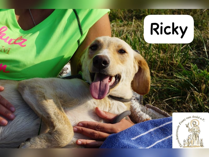 Ricky – Das größte Abenteuer beginnt mit einem Freund!