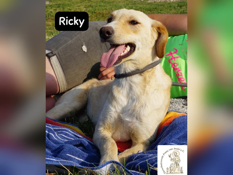 Ricky – Das größte Abenteuer beginnt mit einem Freund!