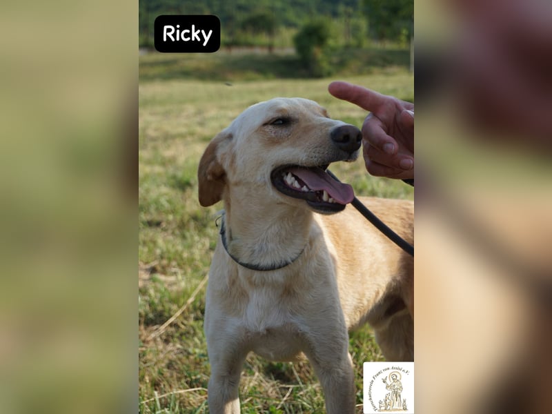 Ricky – Das größte Abenteuer beginnt mit einem Freund!