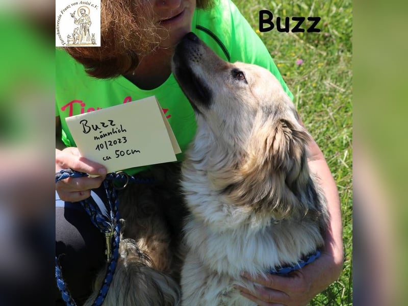 Buzz - wen darf ich lieben, wo darf ich aktiv sein?