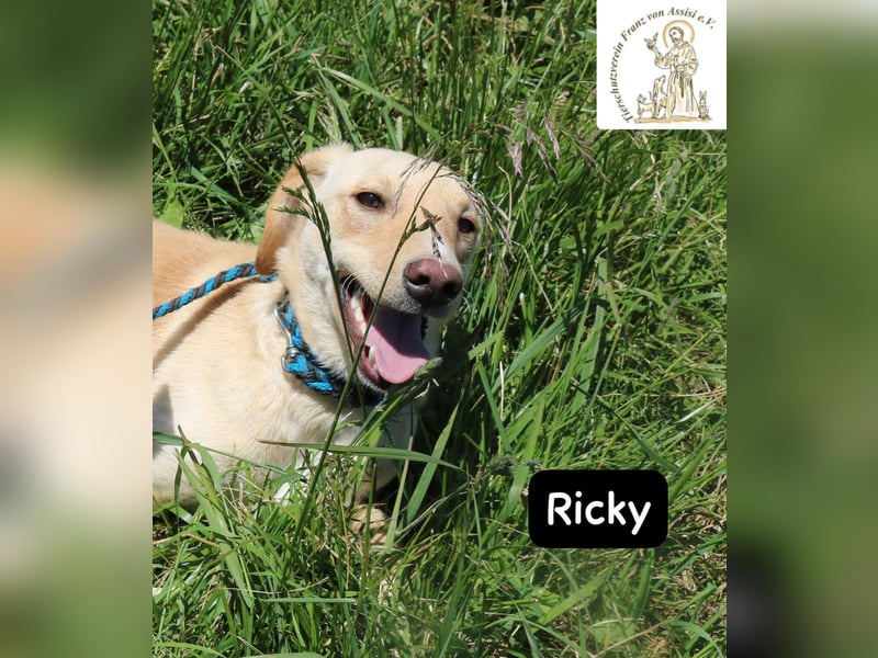 Ricky – Das größte Abenteuer beginnt mit einem Freund!