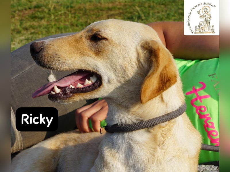 Ricky – Das größte Abenteuer beginnt mit einem Freund!