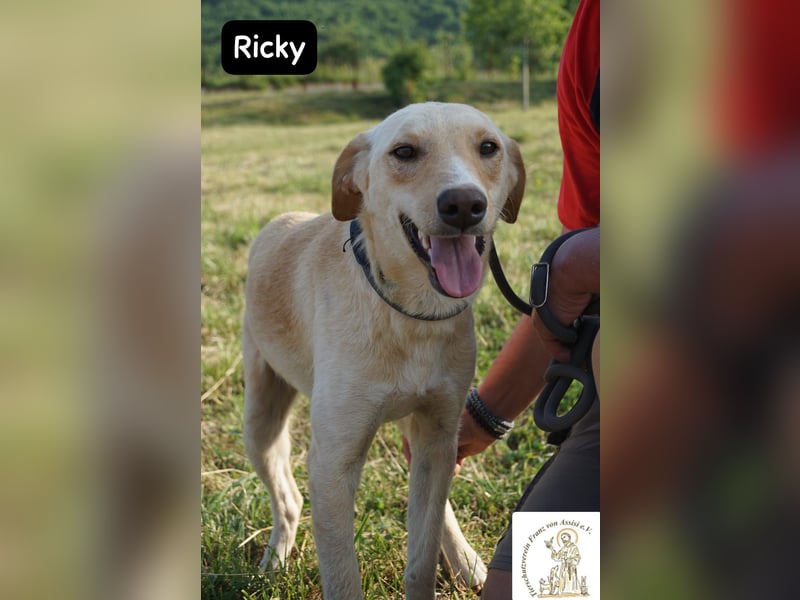Ricky – Das größte Abenteuer beginnt mit einem Freund!