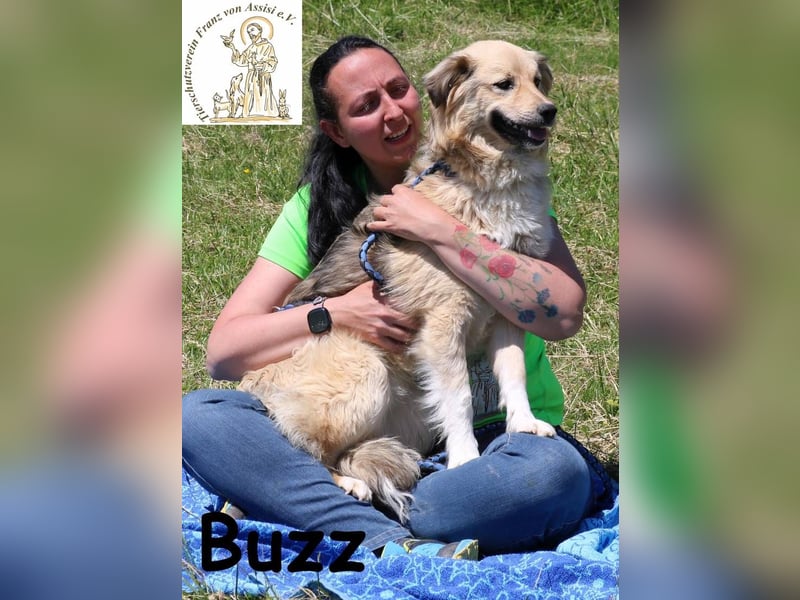 Buzz - wen darf ich lieben, wo darf ich aktiv sein?