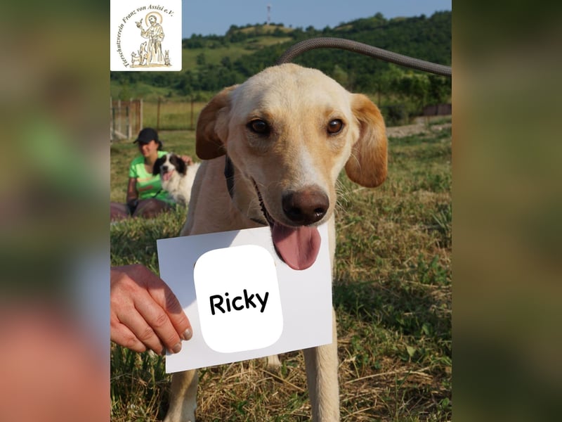 Ricky – Das größte Abenteuer beginnt mit einem Freund!