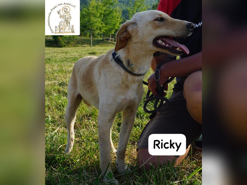 Ricky – Das größte Abenteuer beginnt mit einem Freund!