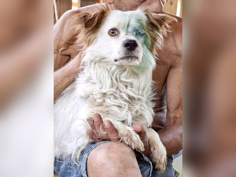 Monty – lebensfroher, kleiner Rüde sucht liebevolles Zuhause