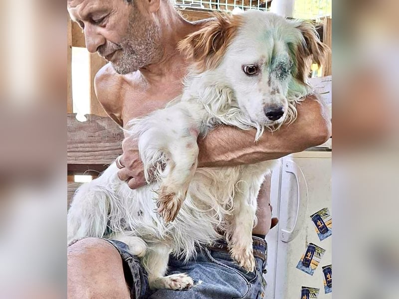 Monty – lebensfroher, kleiner Rüde sucht liebevolles Zuhause