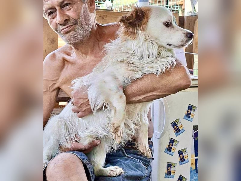 Monty – lebensfroher, kleiner Rüde sucht liebevolles Zuhause