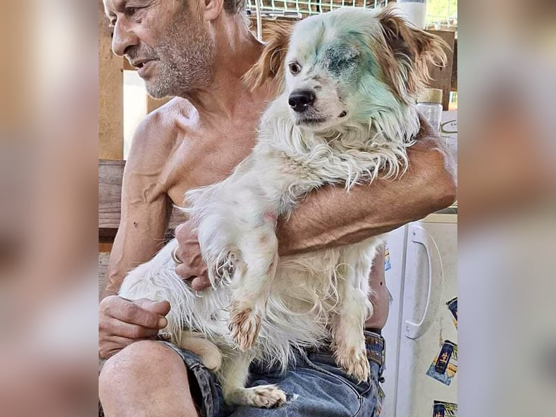 Monty – lebensfroher, kleiner Rüde sucht liebevolles Zuhause