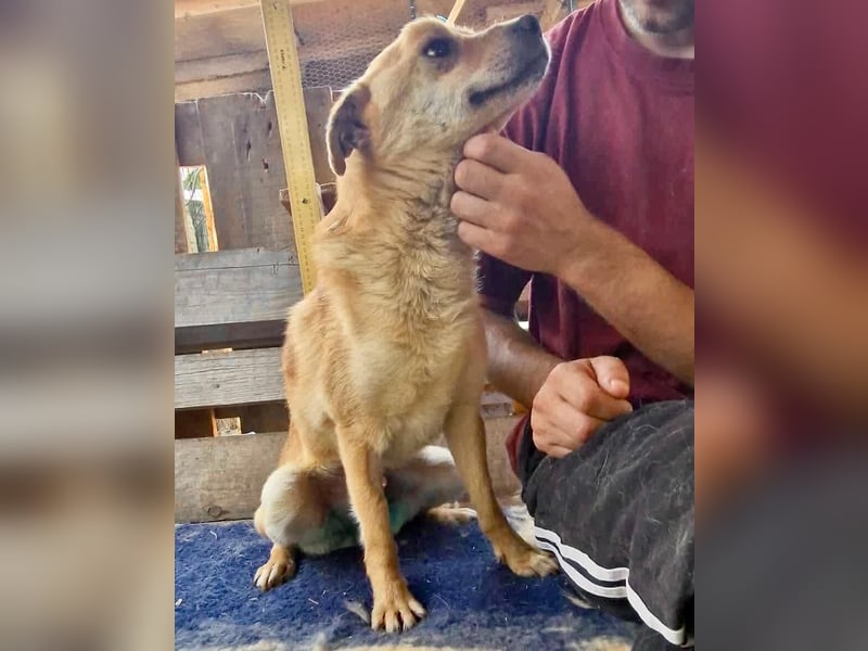 Benni sucht seine Menschen