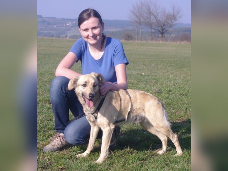 Schüchterner junger Hundemann sucht einfühlsame Menschen 