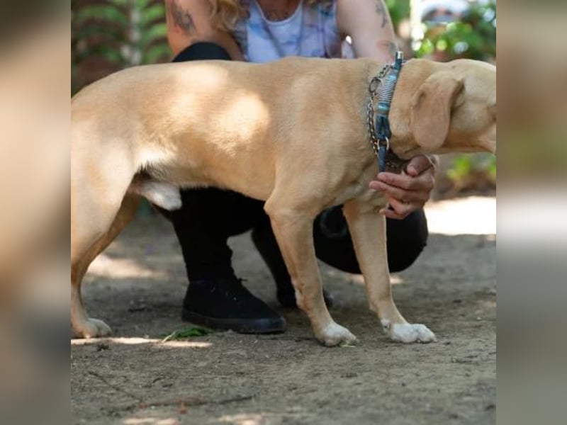 Argo