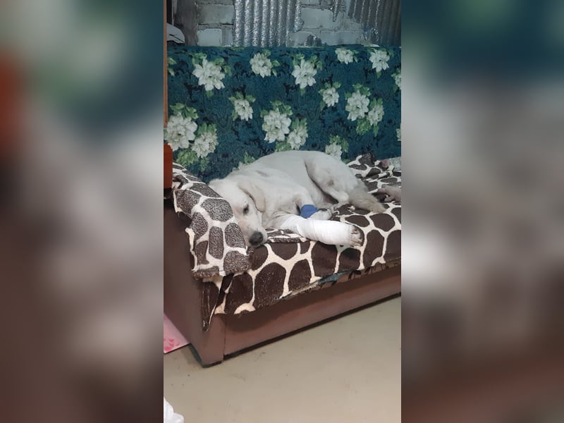 Balou ❤️
