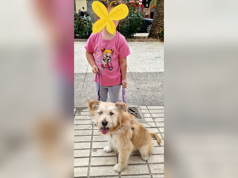 William, freundlich und einfach lieb