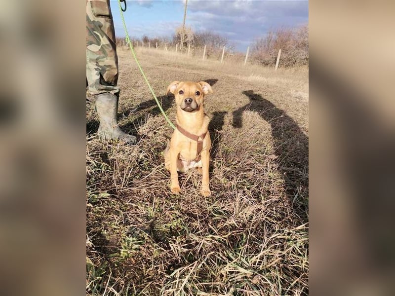 Wolfgang, sucht liebe und aktive Familie