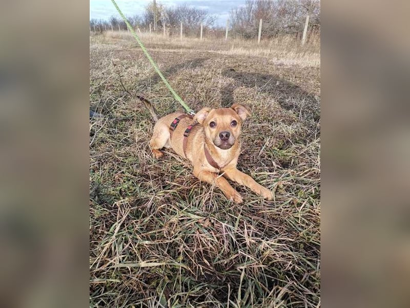 Wolfgang, sucht liebe und aktive Familie