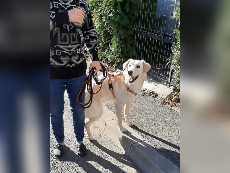 SNOW - möchte endlich was erleben