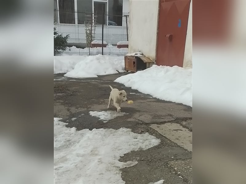 SNOW - möchte endlich was erleben