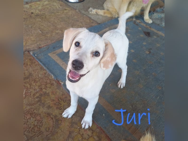 Unser süßer Juri
