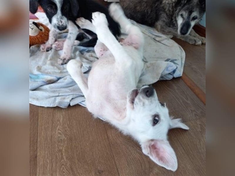 Unser schöner Snooze