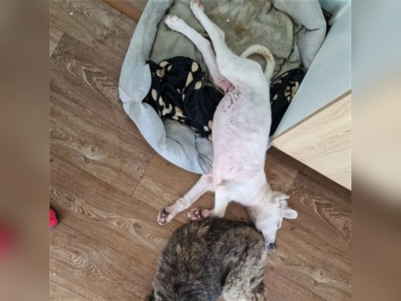 Unser schöner Snooze