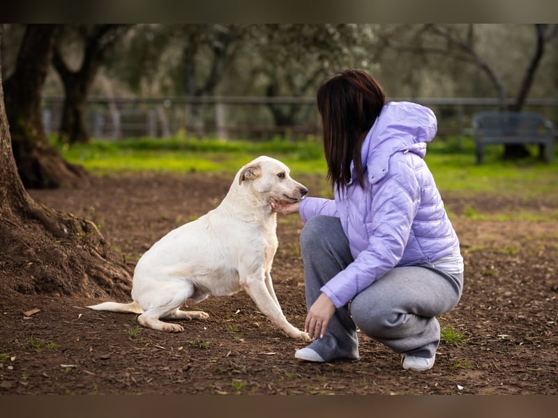 Rupes: „ Wo geht‘s in die Familienhundeschule?“