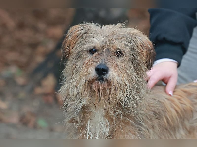 Boomer wünscht sich erfahrene, liebevolle Menschen