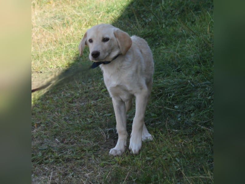Peter - wo finde ich mein Körbchen?