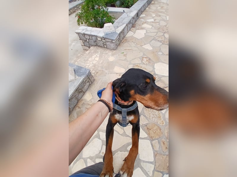 Jack sucht dringend