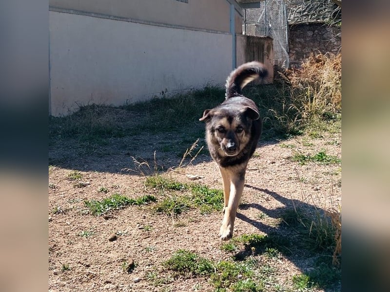 Sombre trauert sehr um seine Luaz