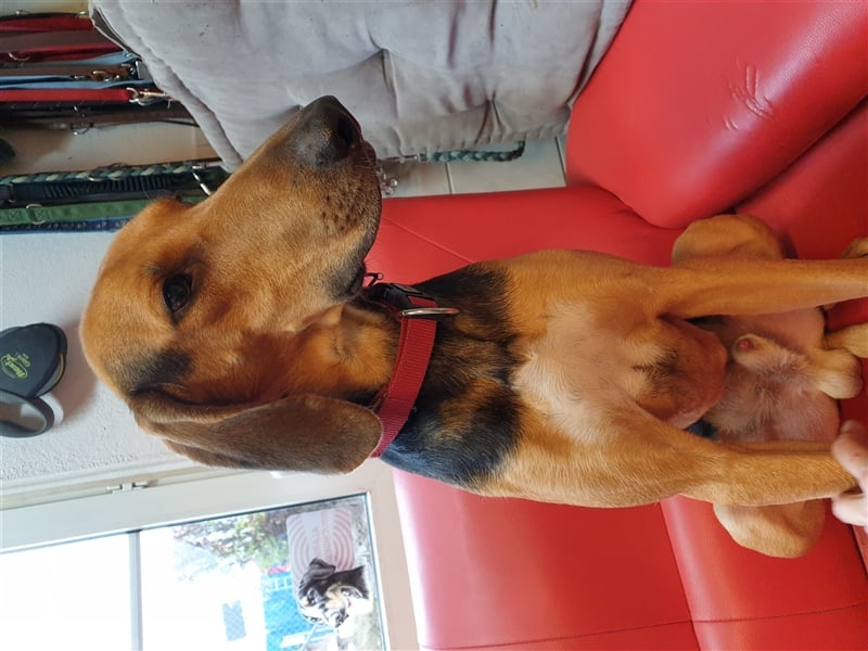 Bruno de Jura Mix
