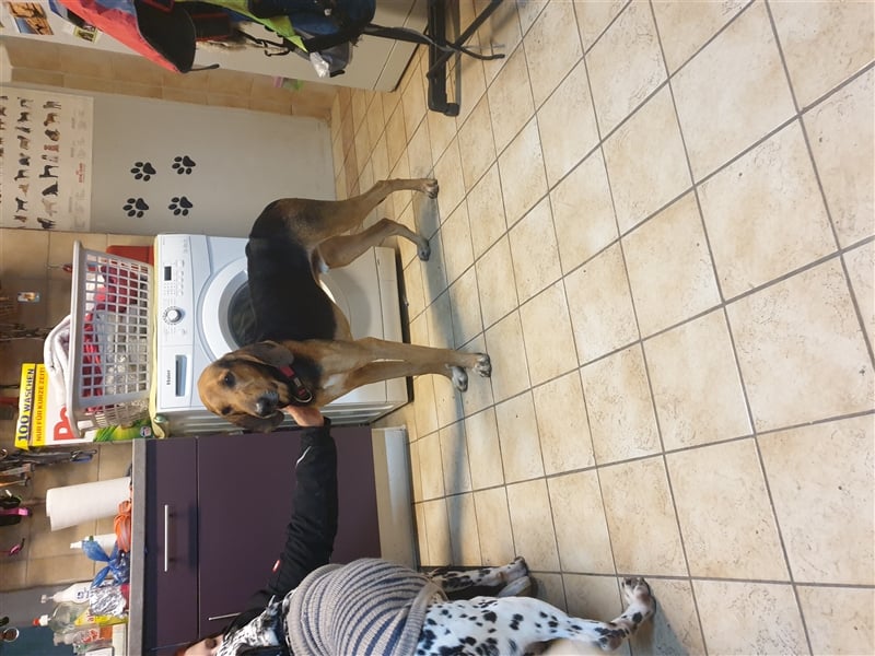 Bruno de Jura Mix