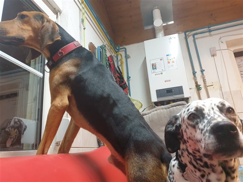 Bruno de Jura Mix