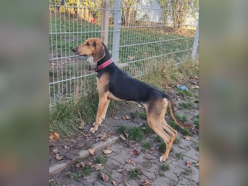 Bruno de Jura Mix
