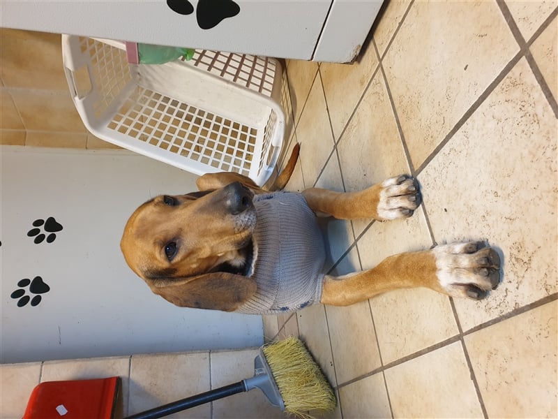Bruno de Jura Mix