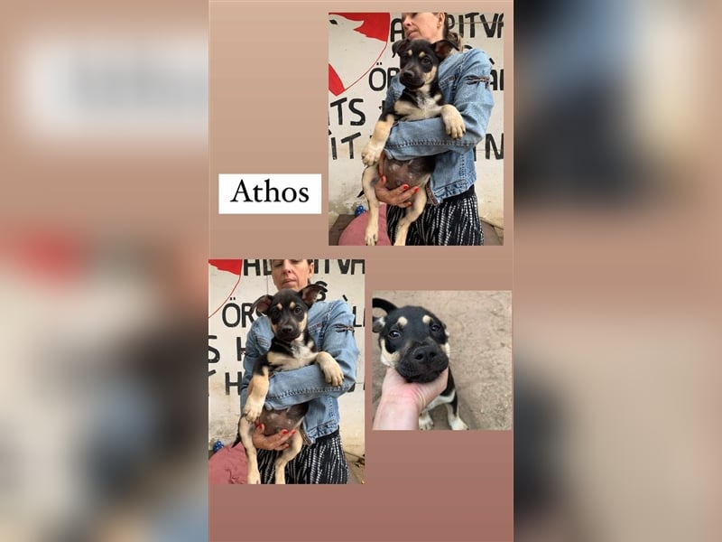 Athos von kettenlos