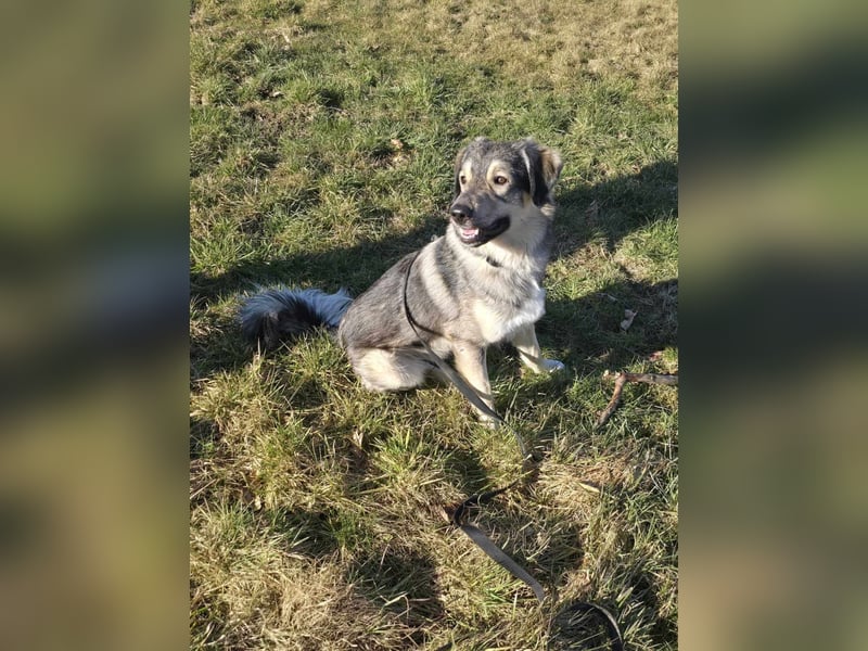 LEVI - als Baby ausgesetzt