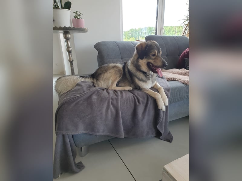 LEVI - als Baby ausgesetzt