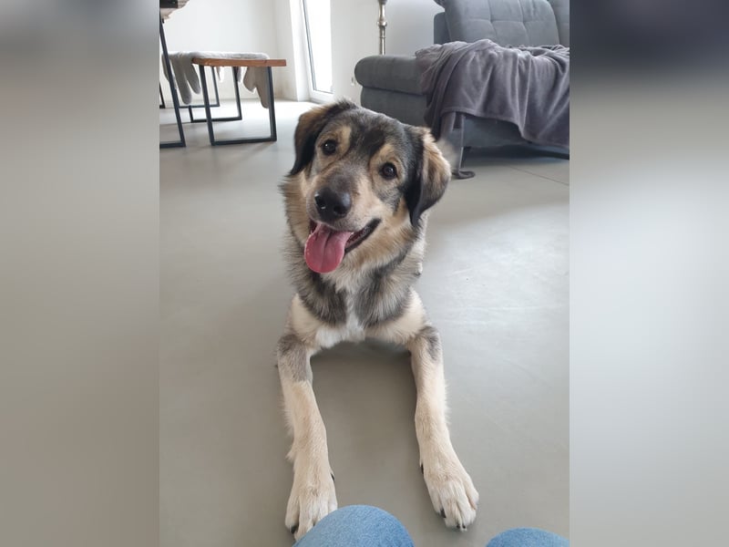 LEVI - als Baby ausgesetzt