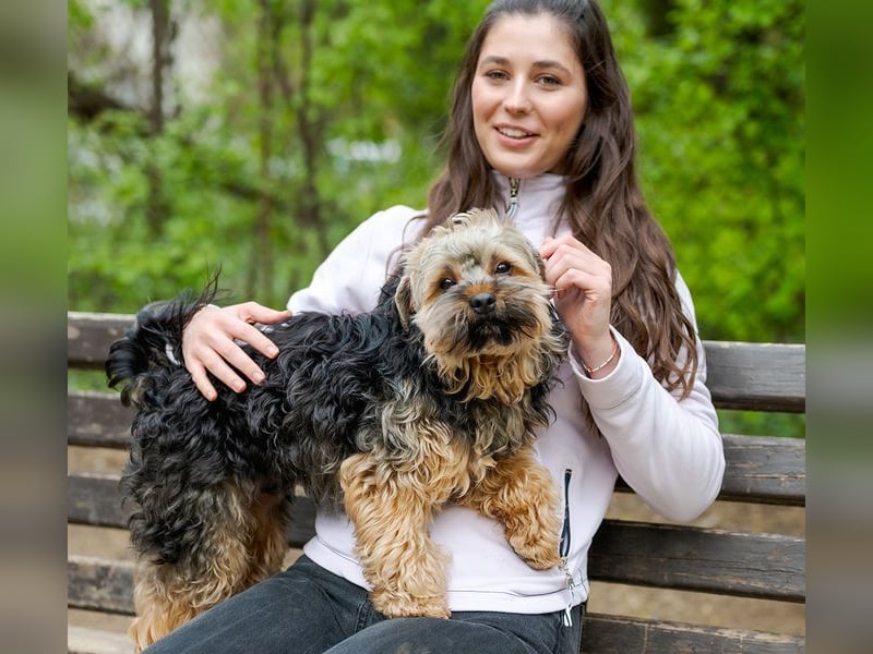TEDDY-liebt es, zu kuscheln und gestreichelt zu werden