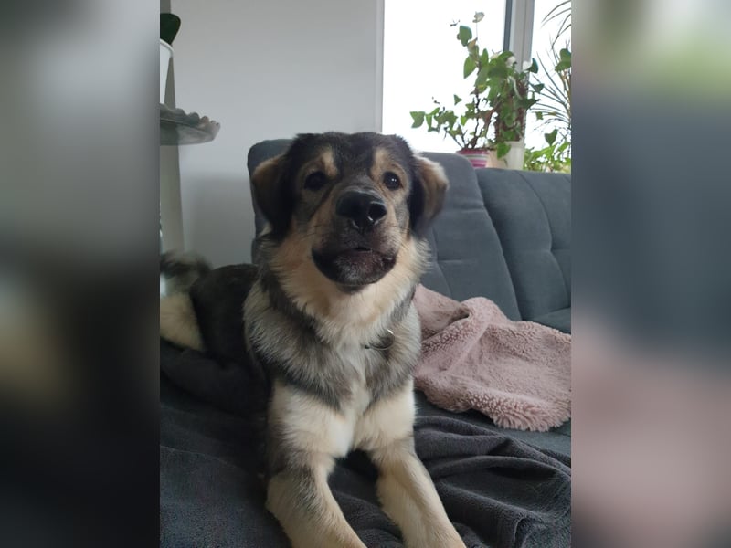 LEVI - als Baby ausgesetzt